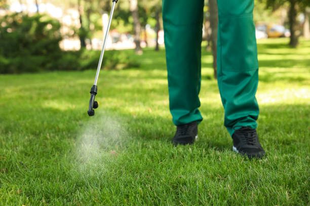 Best Affordable Pest Control Services  in Tonto Basin, AZ