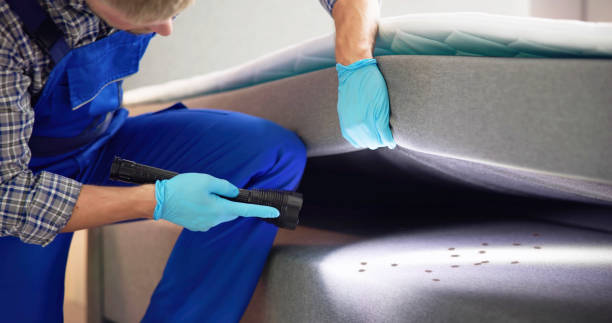 Tonto Basin, AZ Pest Control Company