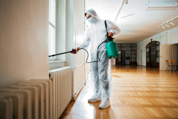 Best Mosquito Control Services  in Tonto Basin, AZ