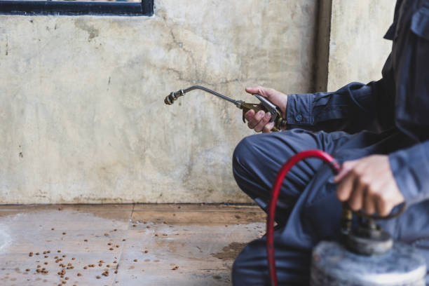 Pest Control Cost in Tonto Basin, AZ
