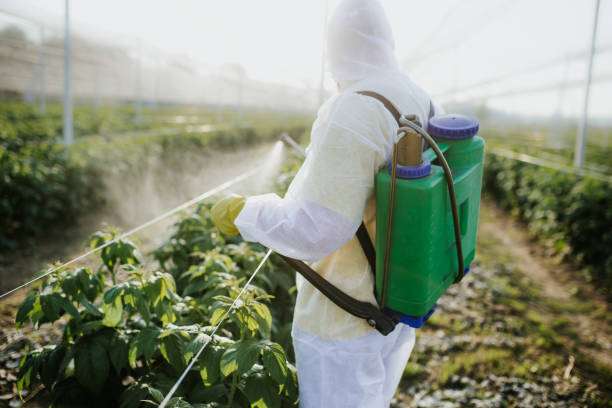 Best Best Pest Control Companies  in Tonto Basin, AZ